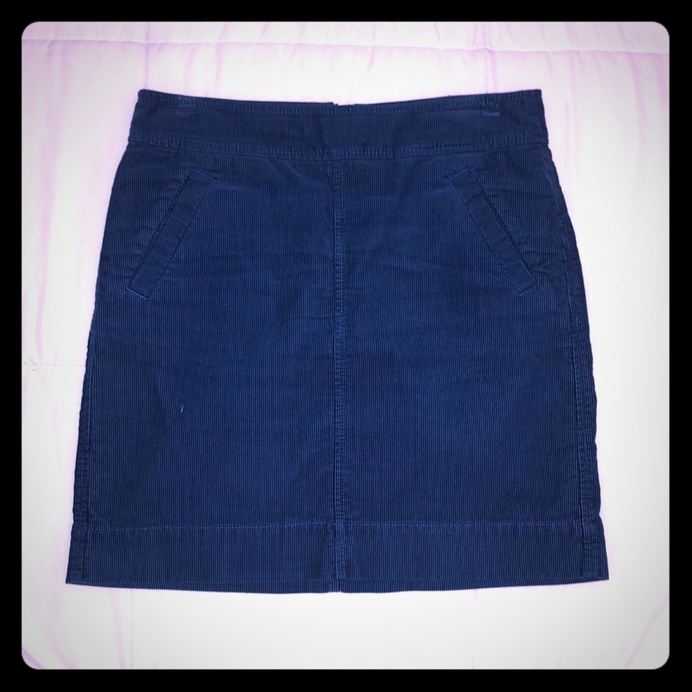 LOFT Skirt.